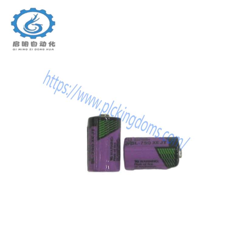 ABB SB808F 3BDM000199R1 Battery for RAM Buffering, 2pcs