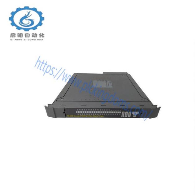 ICS Triplex T8300 Customized Control Module