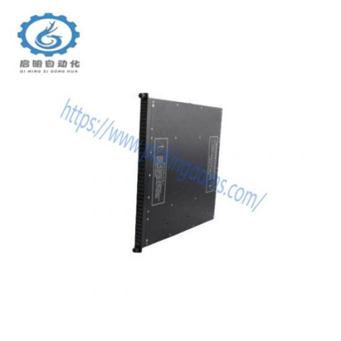 Triconex 7400169-310 | 9962-1XX Output Module; Manufacturer: Triconex