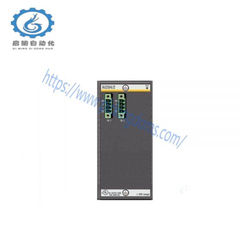 Bachmann AI204/2 Analog Input Module: High Precision, Dual Channel, 16-bit Resolution for Industrial Automation