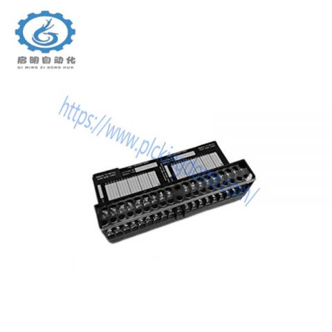 GE IC670CHS001: Advanced I/O Terminal Block Module
