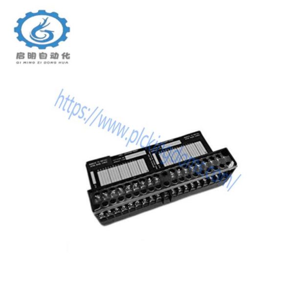GE IC670CHS001: Advanced I/O Terminal Block Module