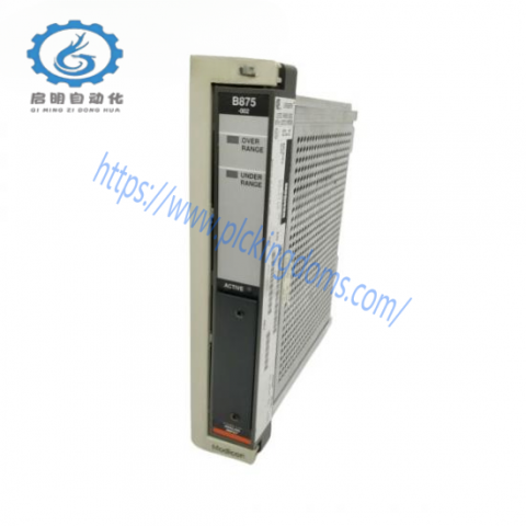 Modicon AS-B875-101 Analog Input Module