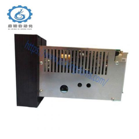 NELES Automation A413325 Power Module - Industrial Control Module