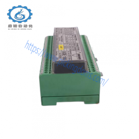 Reliance DM-20 1-Phase BRU-200 Series Servo Drive