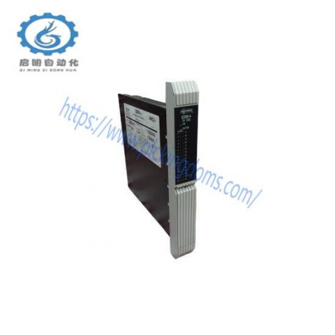 Moore 39SDM024DCCBN - 16101-174R/12 SDM+ Standard Discrete Module