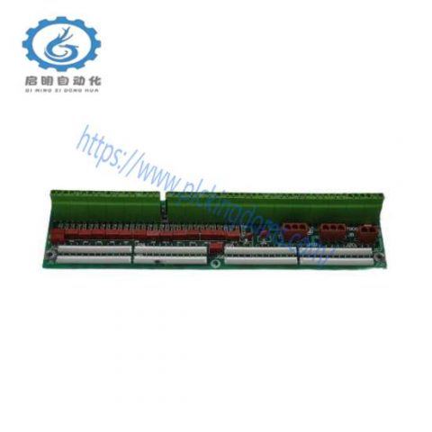 GE Fanuc DS200DTBDG1ABB - Terminal Relay Board
