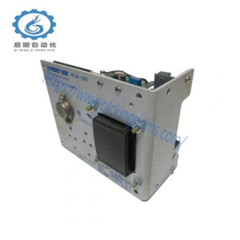 RELIANCE 704323-11C Power Supply - High Efficiency Industrial Module